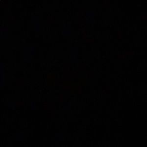 Meet your Posher, Ryleigh